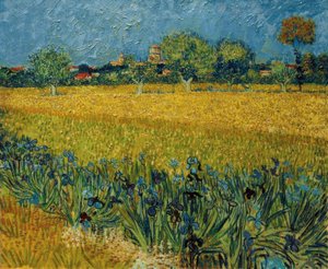 View of Arles with Irises in the Foreground