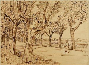 The Road to Tarascon