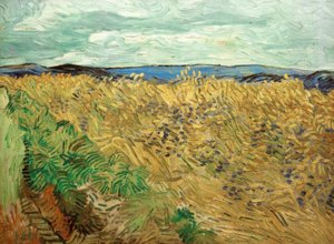 Field with Cornflowers