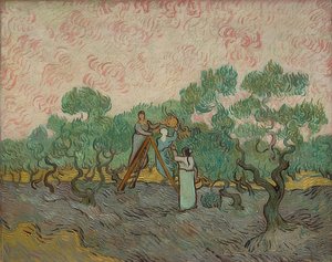 Women Harvesting Olives, 1889 by Vincent van Gogh