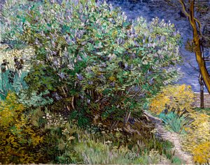 The Lilac Bush by Vincent van Gogh
