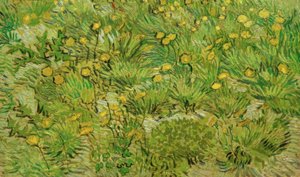 The Dandelions