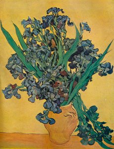 Still Life: Iris