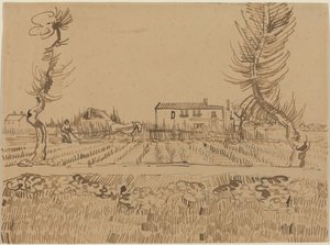 Ploughman in the Fields near Arles by Vincent van Gogh