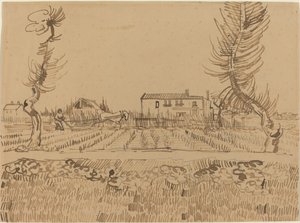 Ploughman in the Fields near Arles by Vincent van Gogh