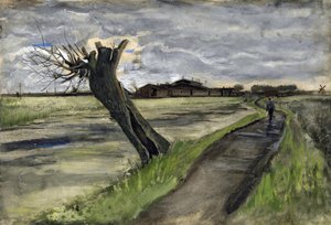 Pollard Willow