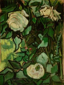 Roses and a Beetle