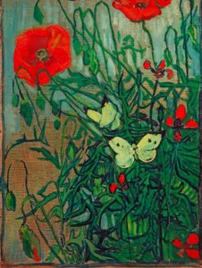 Butterflies on Poppies