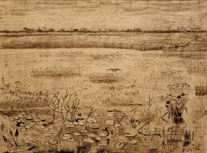 Swamp Landscape with Water Lilies by Vincent van Gogh