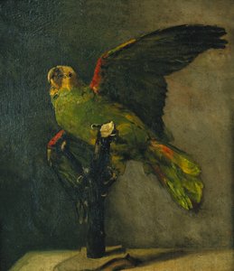 The Green Parrot by Vincent van Gogh