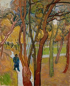 The Garden of Saint Paul