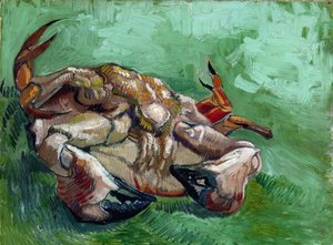 A Crab Lying on His Back