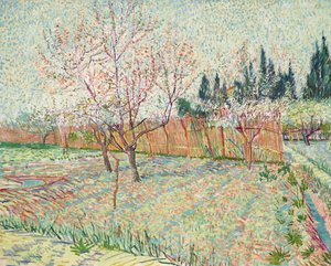 Orchard with Cypresses