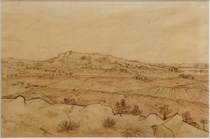 View of the Crau