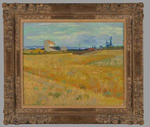 Wheatfield
