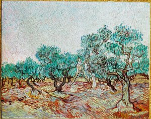 Women Picking Olives