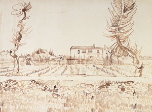 Working the Fields at Arles by Vincent van Gogh