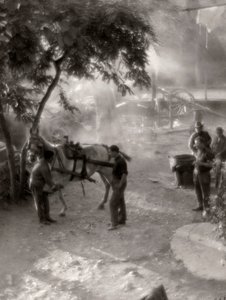 Shoeing the Horses, Italy by Vincenzo Balocchi