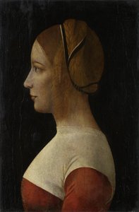 Portrait of a Young Lady