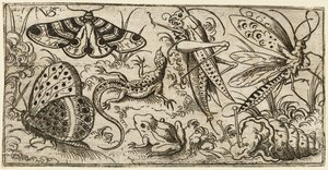 Group of Insects and Animals on a Plain Ground with Grass by Virgil Solis
