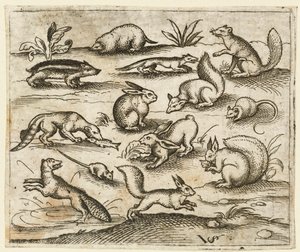 Group of Small Woodland Creatures Eating and Running Around a Pond, including a Mouse, 1557 by Virgil Solis