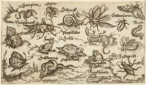 Insects, reptiles, snails, and fish on minimal ground with water in foreground