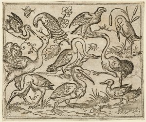 Ostrich on Left Side with Nine Other Birds, Including a Heron and a Pelican, 1557 by Virgil Solis