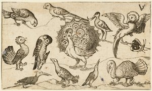 Peacock in centre surrounded by nine other birds, including a turkey, and a butterfly