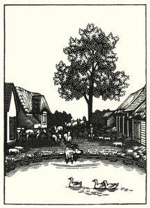Illustration for Tess Of The D