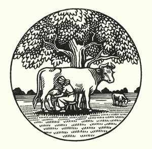 Illustration for Tess Of The D