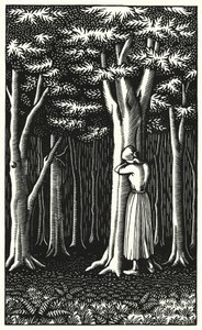 Illustration for Tess Of The D