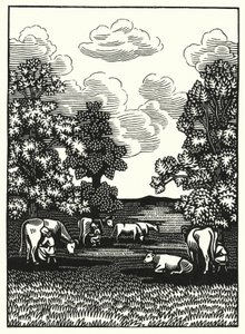Illustration for Tess of the d