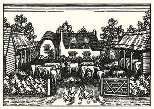 Illustration for Tess of the d