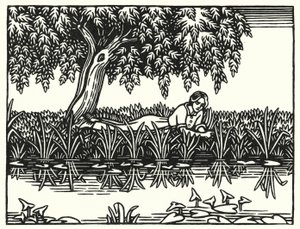 Illustration for Tess of the d