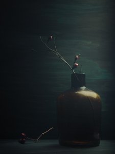 Quiet Rose Hips Bottle by Vladimir Pavlovskyy