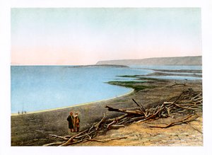 The Dead Sea