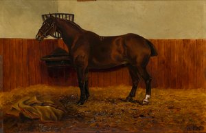 The Old Cob in a Stable, c.1839-98