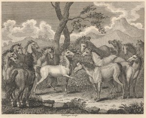 The Council of Horses by W. Grainger