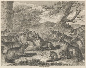 The Fox at the Point of Death