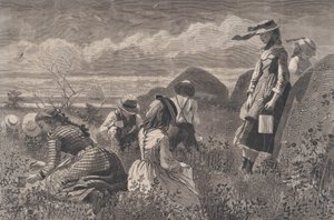 Gathering Berries Harper