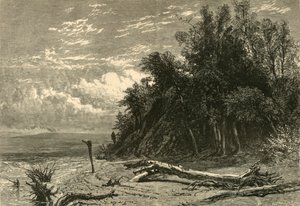 The Shore at Lake Forest, 1874 by W. J. Linton