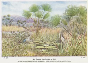 An Eocene Landscape by W. J. Stokoe
