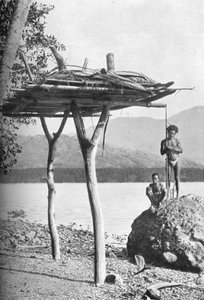 Mortuary platform in New Guinea, 1902 by W. Lindt