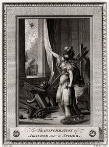 The Transformation of Arachne into a Spider by W. Walker