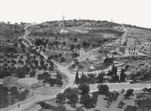 Mount of Olives, Jerusalem, Palestine by W and S Ltd