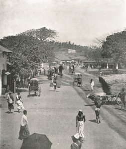 Street Scene Near the Town Hall, Colombo, Ceylon