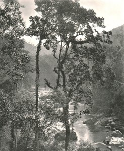 View of the Kelani River, Kurunegala, Ceylon by W and S Ltd