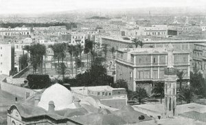 View of the City of Alexandria, Egypt by W and S Ltd