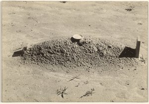 A Baptist Grave, Hale County, Alabama by Walker Evans