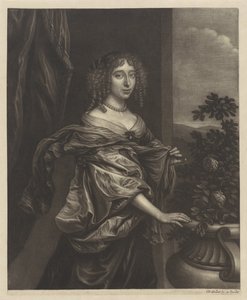 Portrait of a Woman by a Rose Bush by Wallerant Vaillant